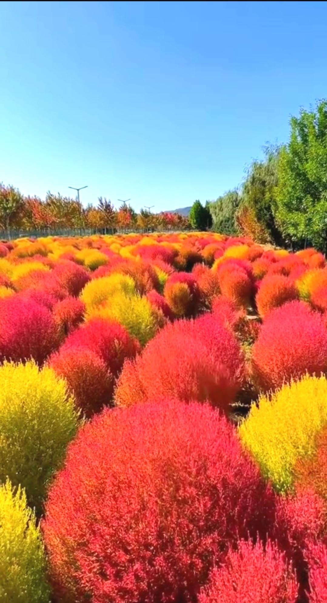 婚姻中有哪些禁忌不能犯？婚姻里有诸多禁忌，犯了可就麻烦重重。别玩“已读不回”