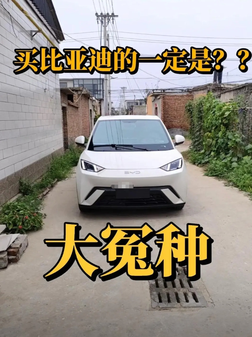 冤种？真香？客户自述：我是买海鸥的大冤种，每天上下班来回60公里，以前开油车每天