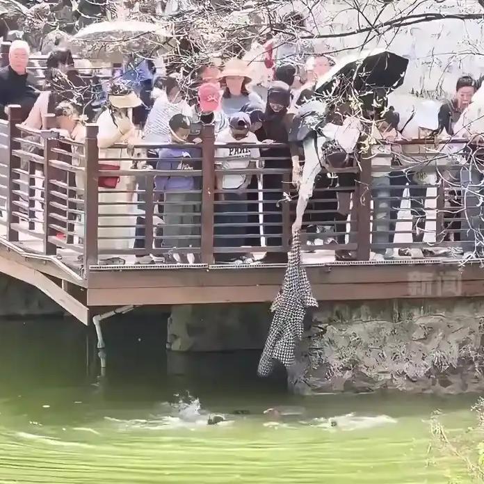 近日，陕西西安兴庆宫公园发生惊险一幕。一名妇女在游玩时不慎落水，怀中紧抱的孩子也