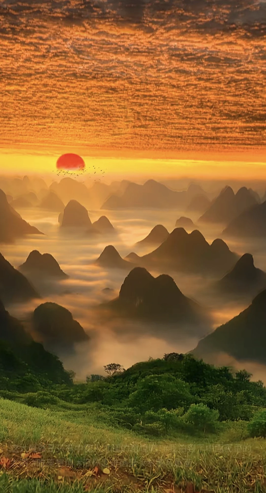 醒醒吧，想渡父母，救朋友，拉人觉醒，你那不是慈悲，是越界，真慈悲是不渡...
