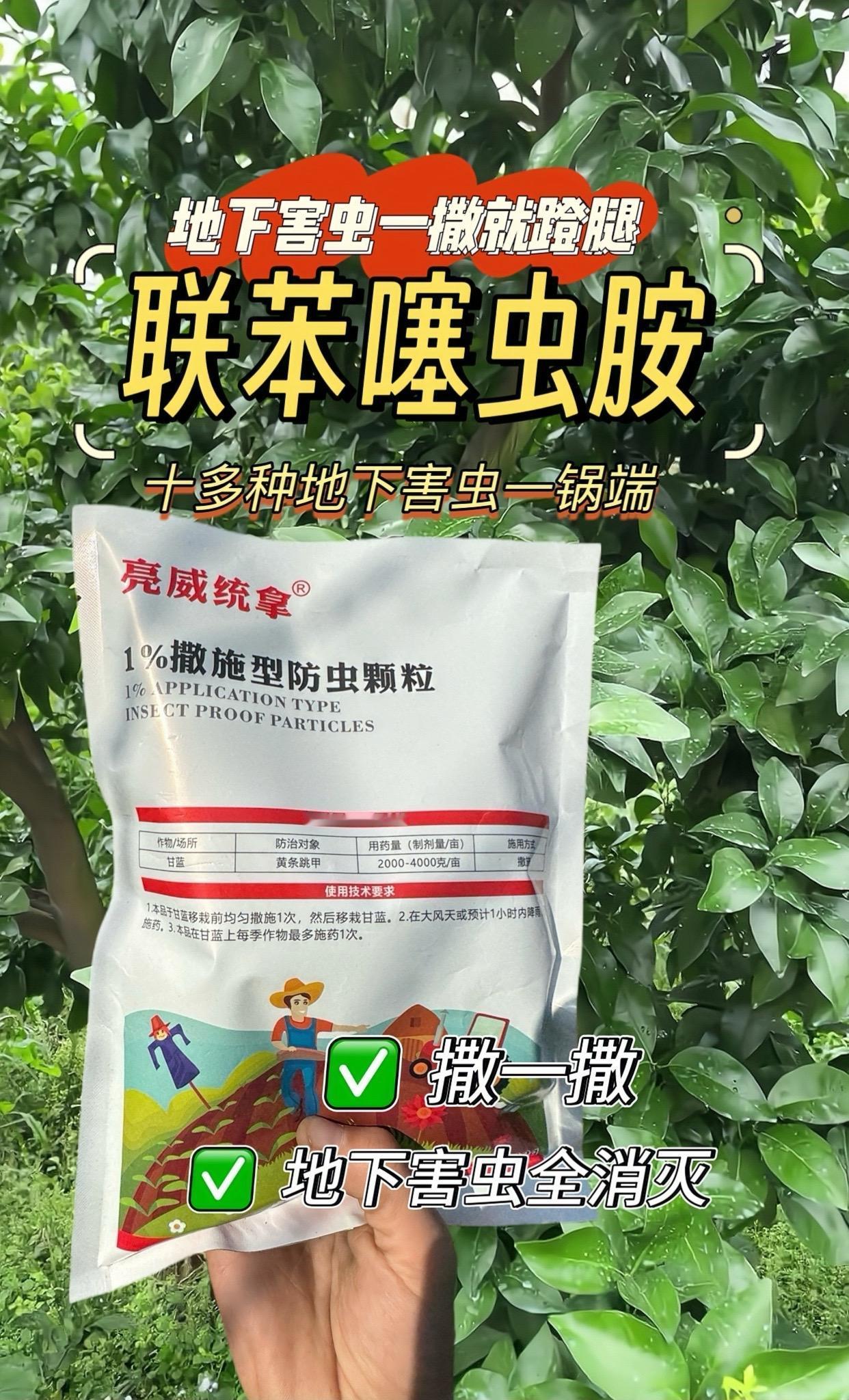 柑橘开春别忘了地下害虫,容易造成根系损害,诱发根腐病,根结线虫等,撒联苯