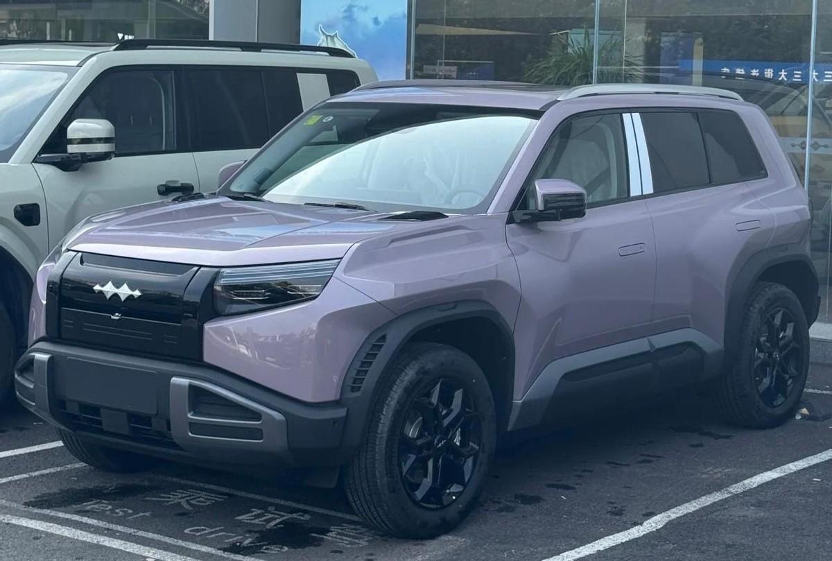 有人花13万提了方程豹钛3，朋友直接甩链接：现代EO羿欧补贴后11万2，续航50