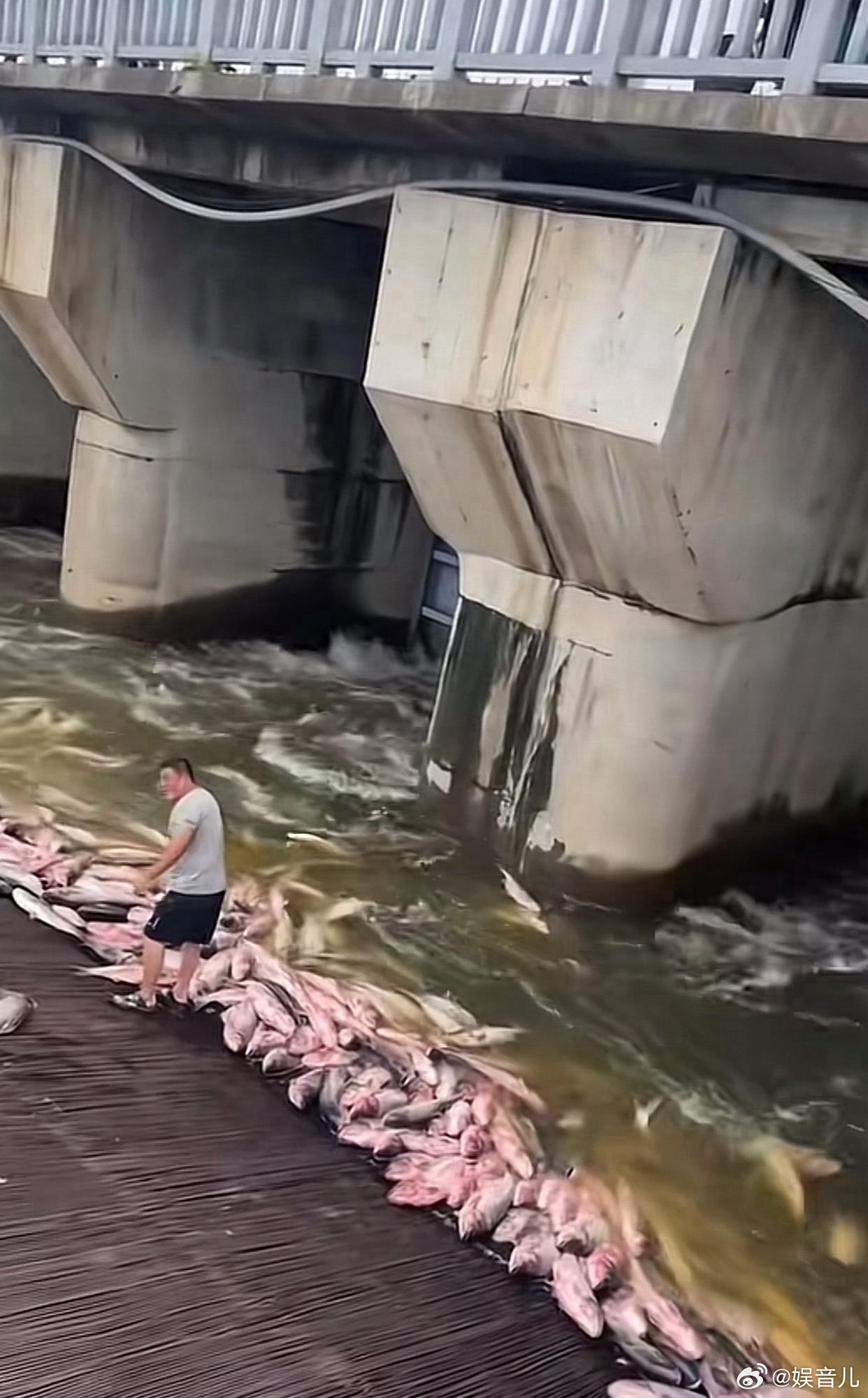 做梦都不敢这么做