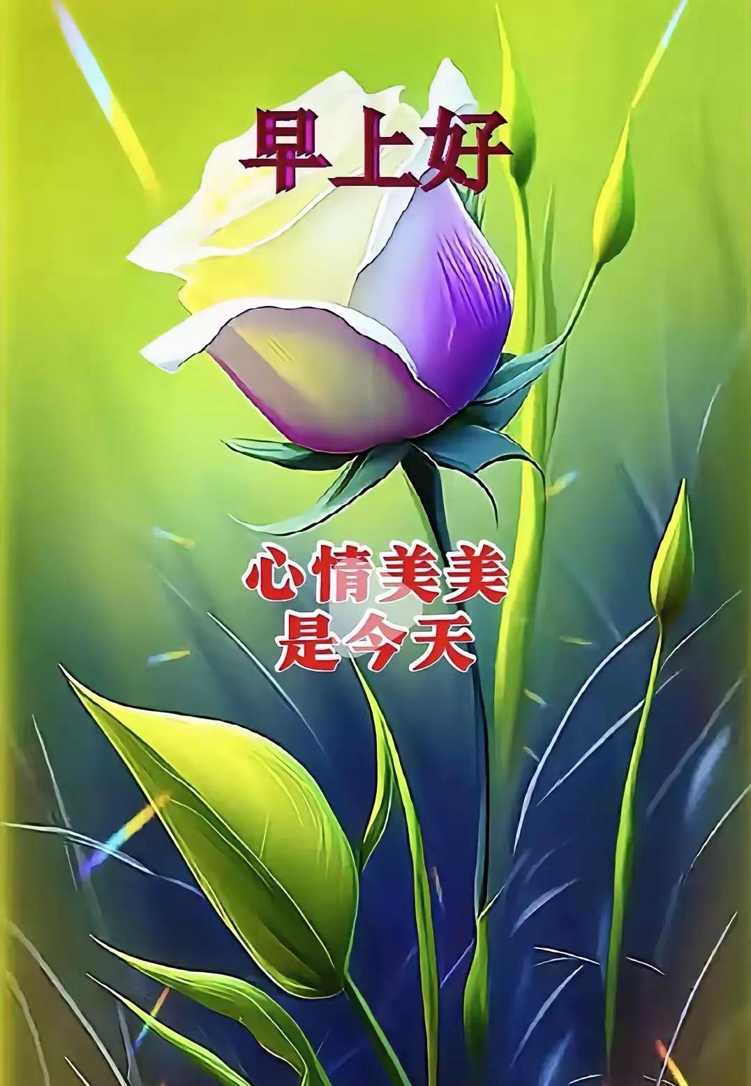 每天清晨都是新的开始，一句早安问候能让心情瞬间明亮。愿往后岁月安稳静好，日子幸福