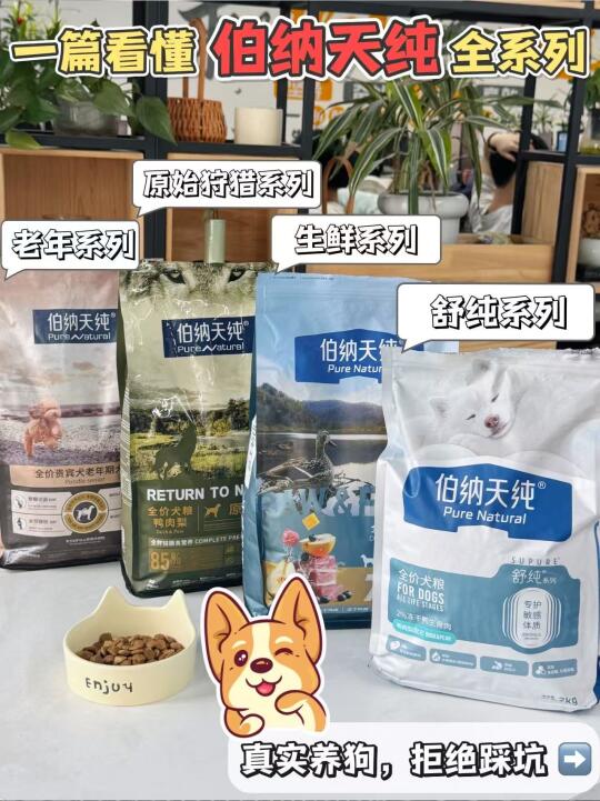 拒绝踩坑｜风很大的伯纳天纯狗粮到底咋样？