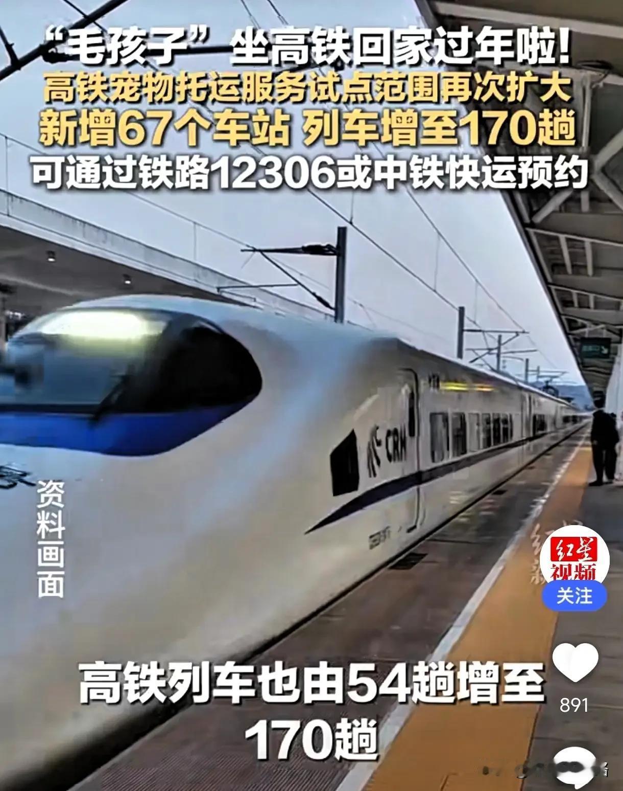 我注意到一件事。宠物坐高铁的范围又扩大了。现在有110个车站能办，170趟车