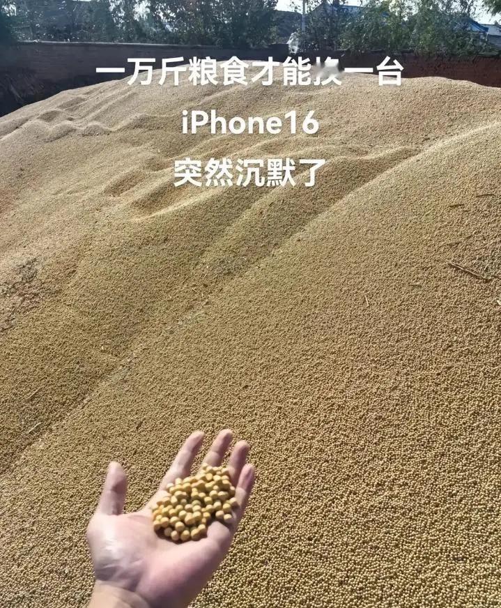 突然觉得手里的17也不香了…​​​