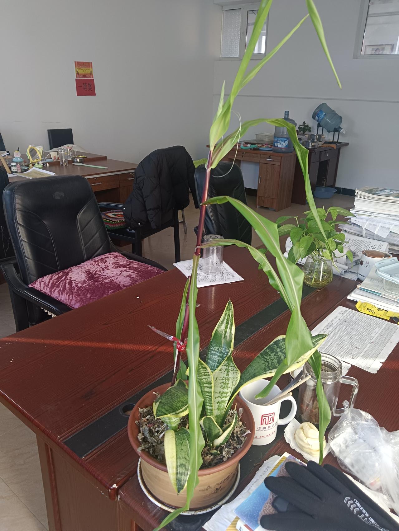 阳虚睡不醒阴虚睡不觉气虚易惊醒血虚做恶梦血热长痘痘血燥浑身痒血淤身上