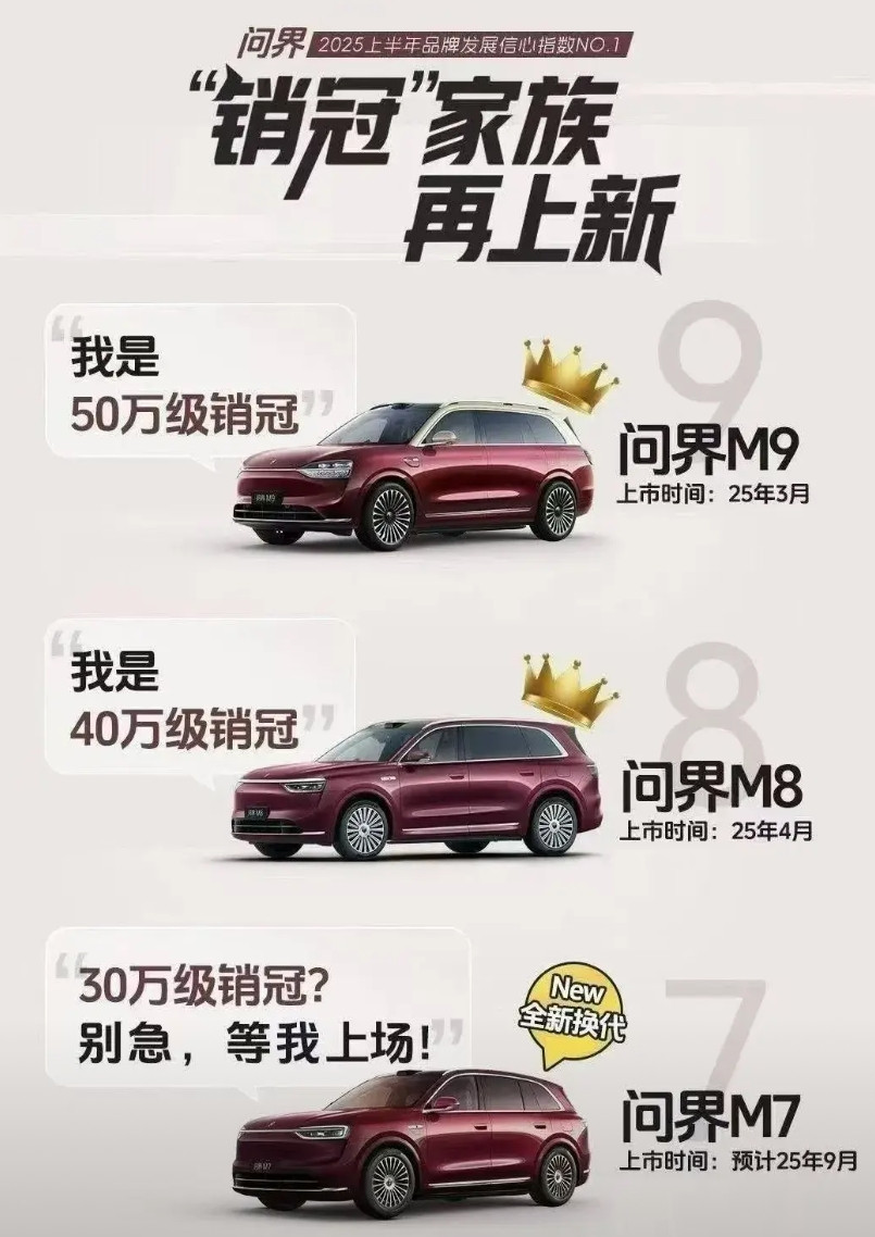 这张图对友商的伤害性不大，侮辱性极强，一把把BBA30几万到50几万一把干掉！原
