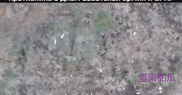 俄军感化乌军，第聂伯罗彼得罗夫斯克方向，东部集群飞手加强投掷传单，上面有写明双方