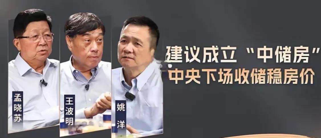 三位重量级人物谈话节目，建议成立“中储房”下场收房，看上去有一些道理。如果有这
