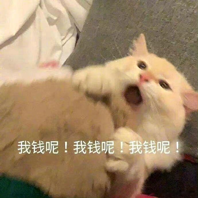 十二星座「花钱时的真实状态」：白羊：看上直接冲，付款从不犹豫金牛：精打细算，花每