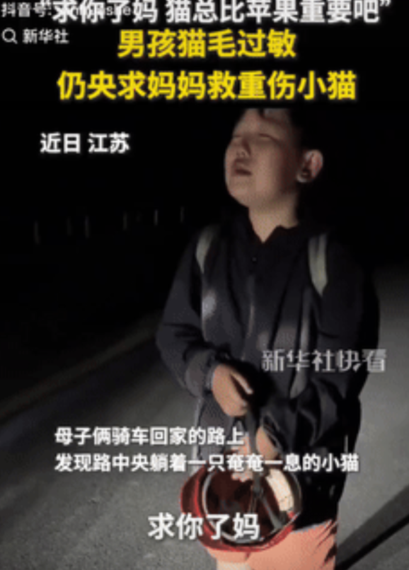 看哭了！江苏，一对母子晚上发现一只被车子撞伤的猫咪，男孩伤心大哭，表示要救猫咪，