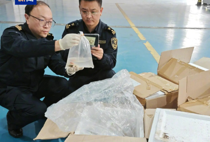 中方稀土禁令留了个口子，这一招十分高明：美国军工非常难受！10月9日，中方连续发