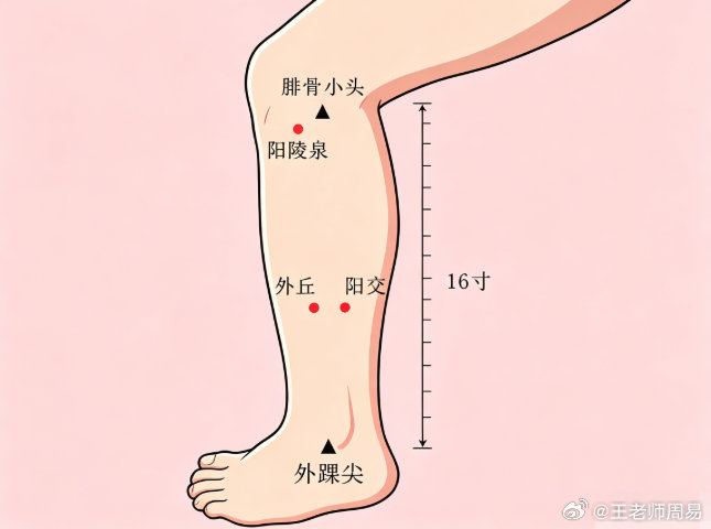 腿上藏了个"抗癌密码"！晨起敲3分钟，免疫力暴涨200%，正气足，人也精神！本文