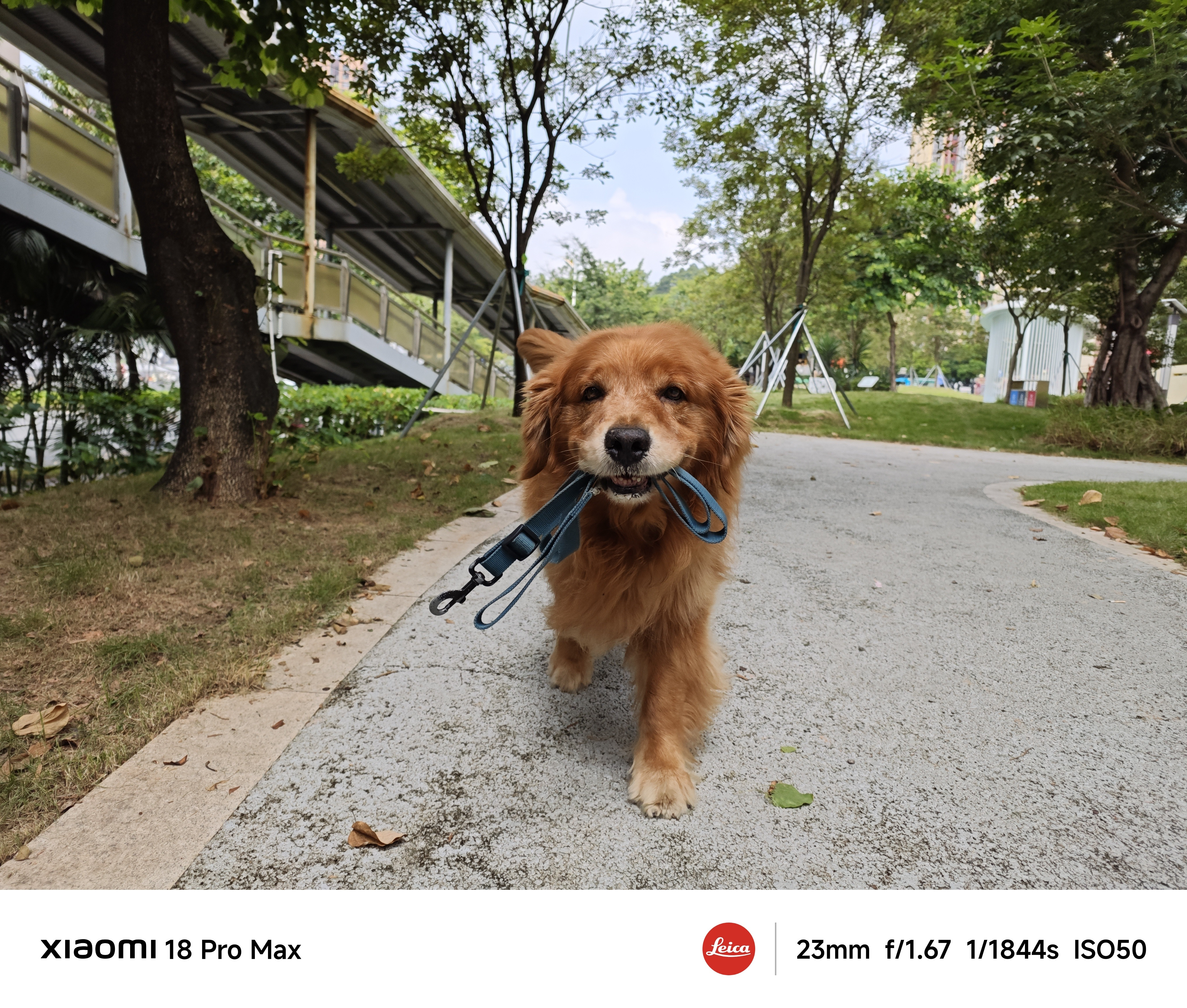 PhotobyXiaomi18ProMax，出境模特：我家老大[干饭人