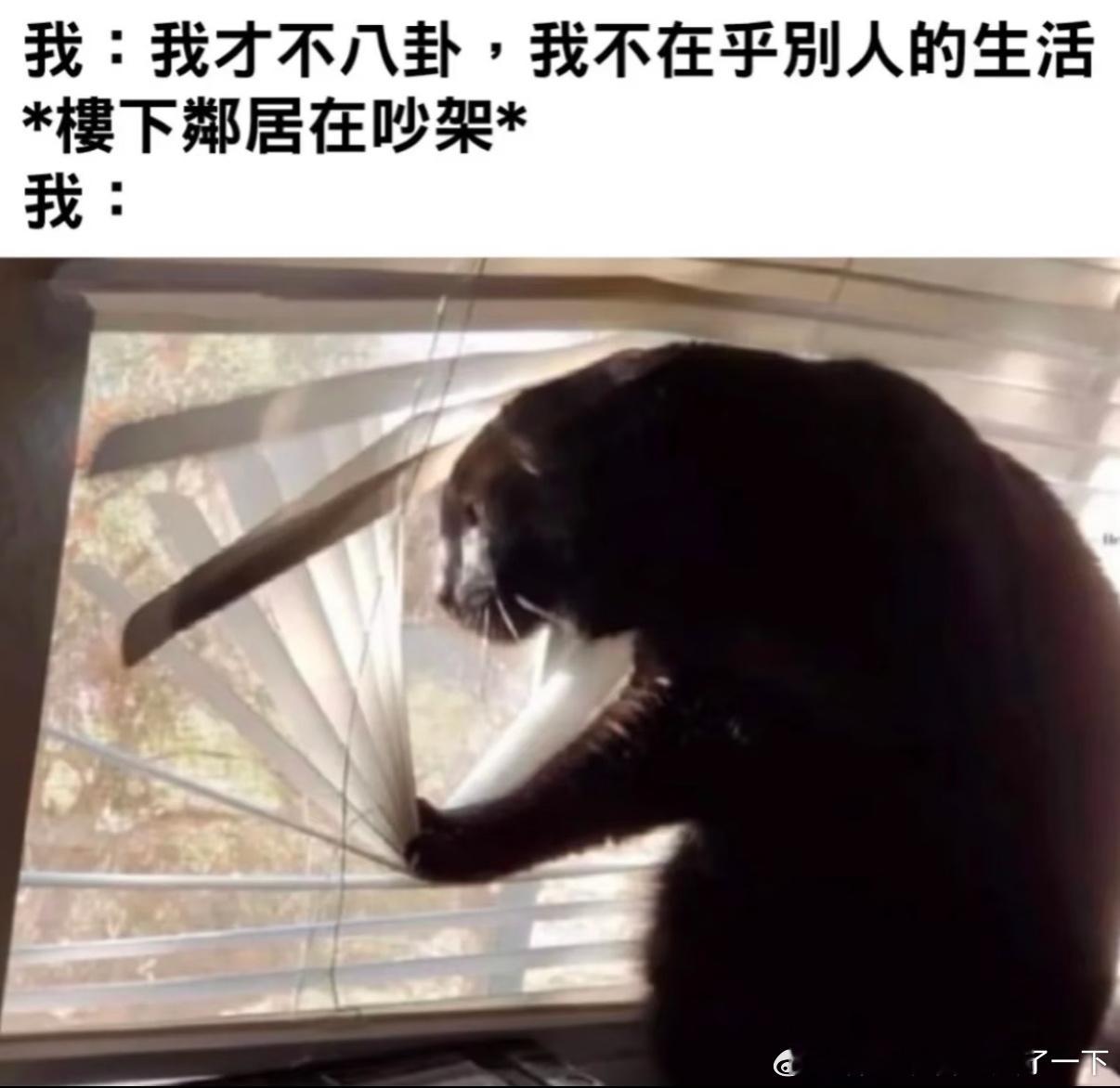 5278就是我本人！！！​​​
