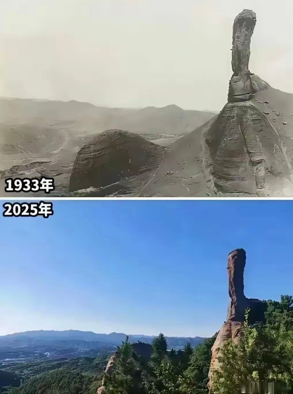 怎么以前没有树​​​
