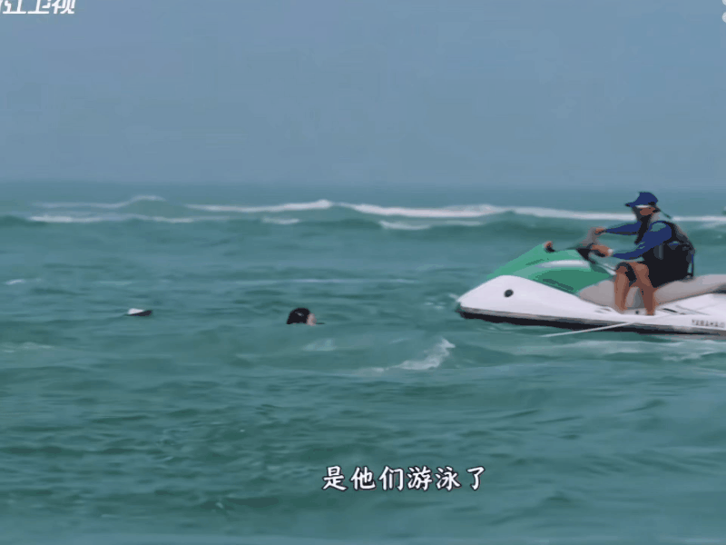 奔跑吧发现好多人在讨论孟子义救白鹿这个片段，有些yxh为了流量直接挑拨，孟子义当