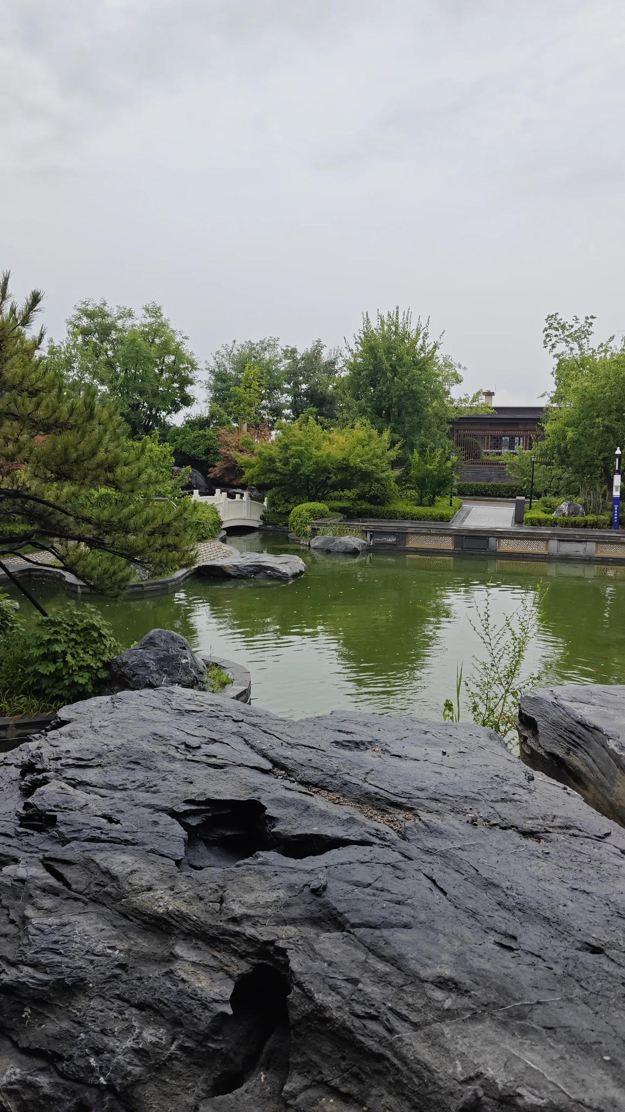 提前通知一下，大家好有个心理准备。今天8月4号，就正式进入中伏第十一天了，而