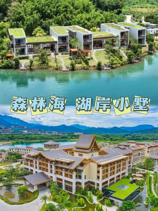 亲子游好去处‼️森林海♨️1199含自助早+晚餐