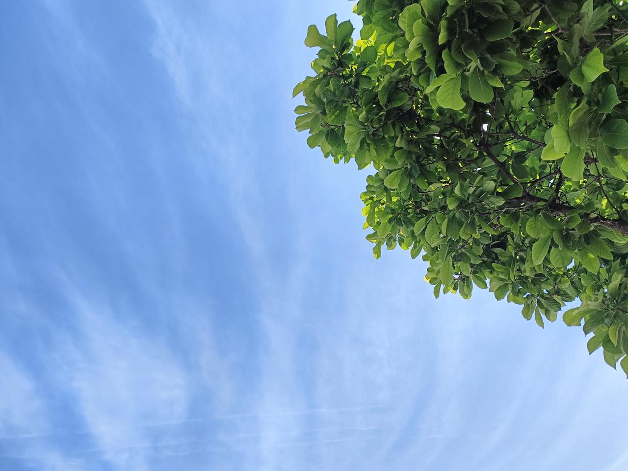 天朗气清，天地辽阔。老同学的父亲走了，享年九十多岁。我的父亲七十多岁离世，而我