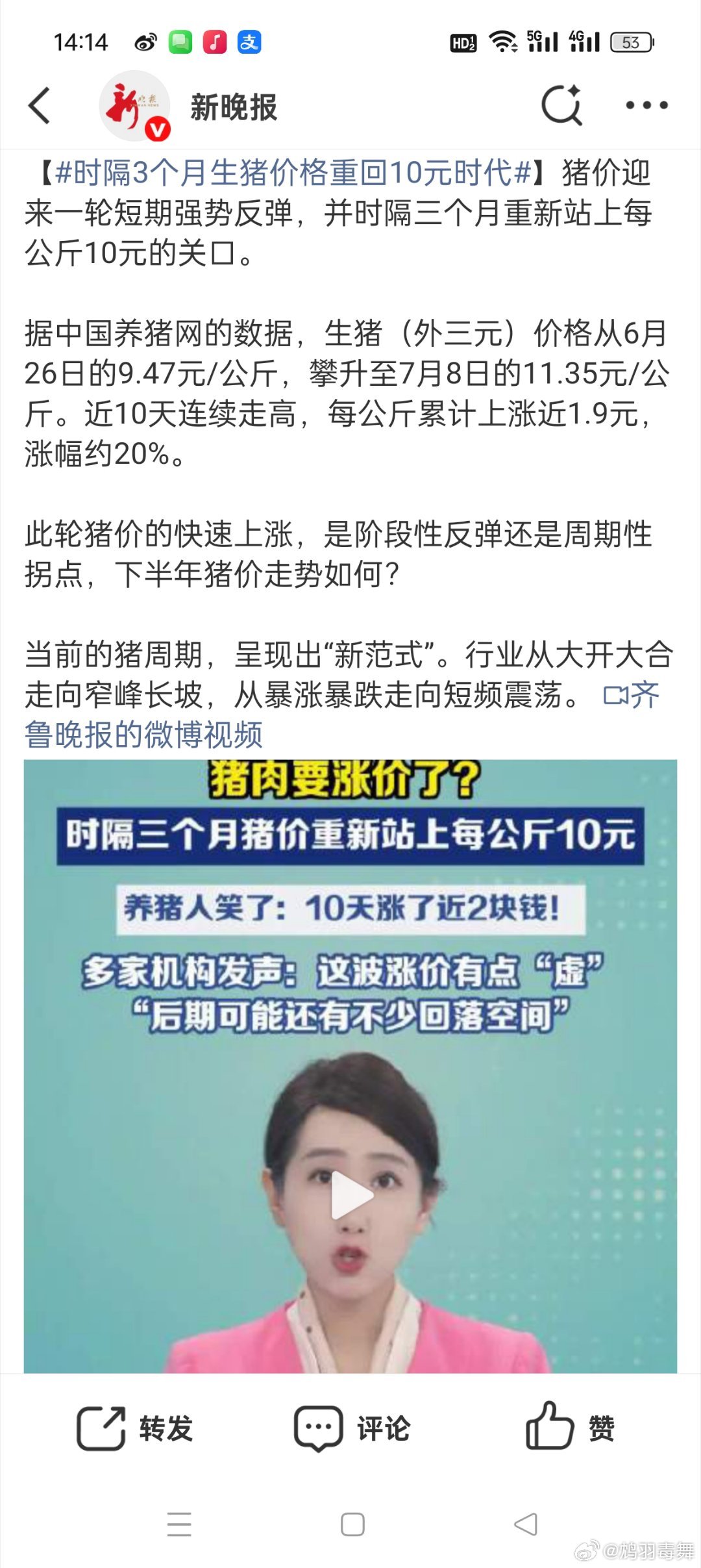 时隔3个月生猪价格重回10元时代猪肉开始涨价了，不知道最近大家买猪肉的时候感觉到