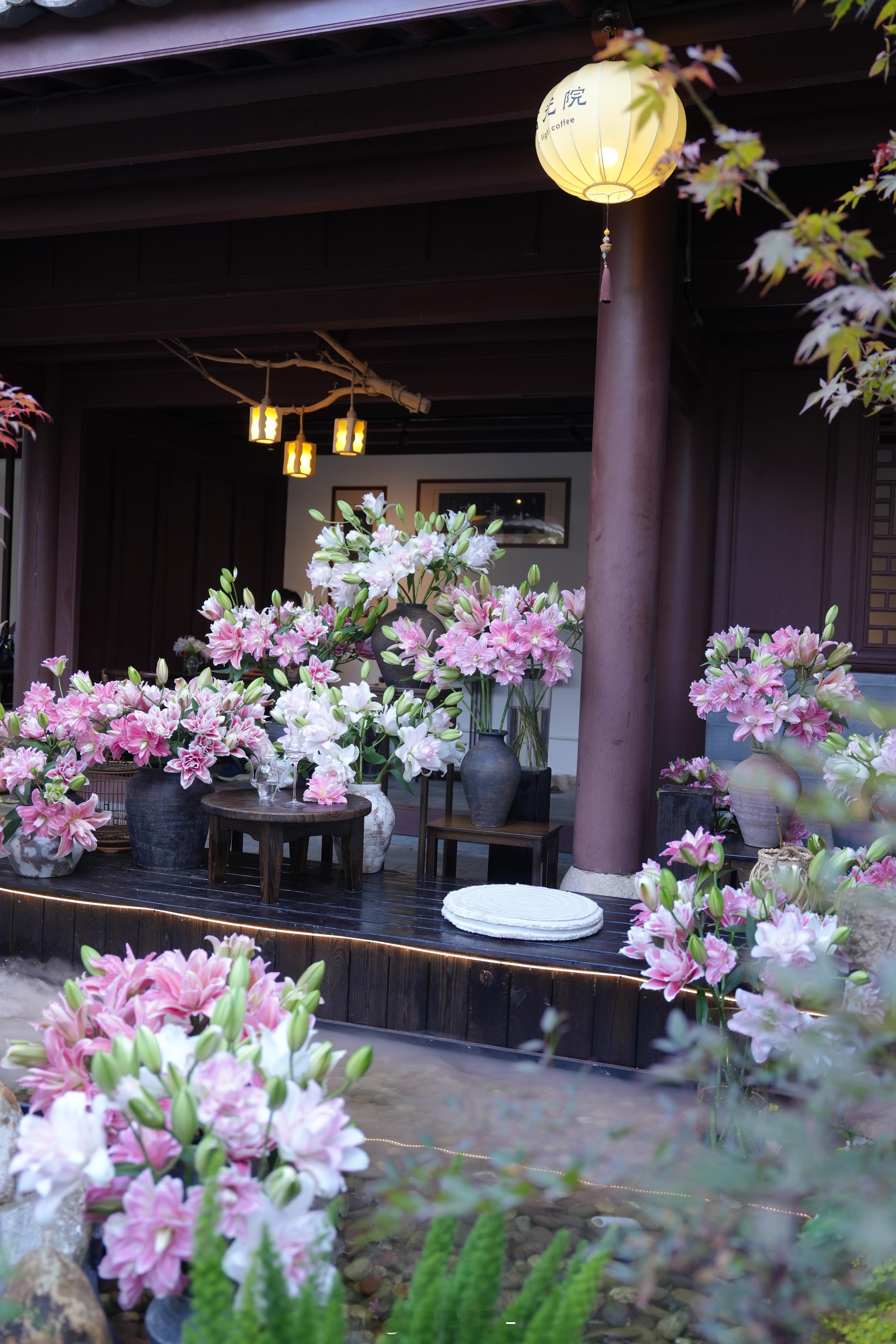 庭前百合开，人间入清欢🍃🌸​​​