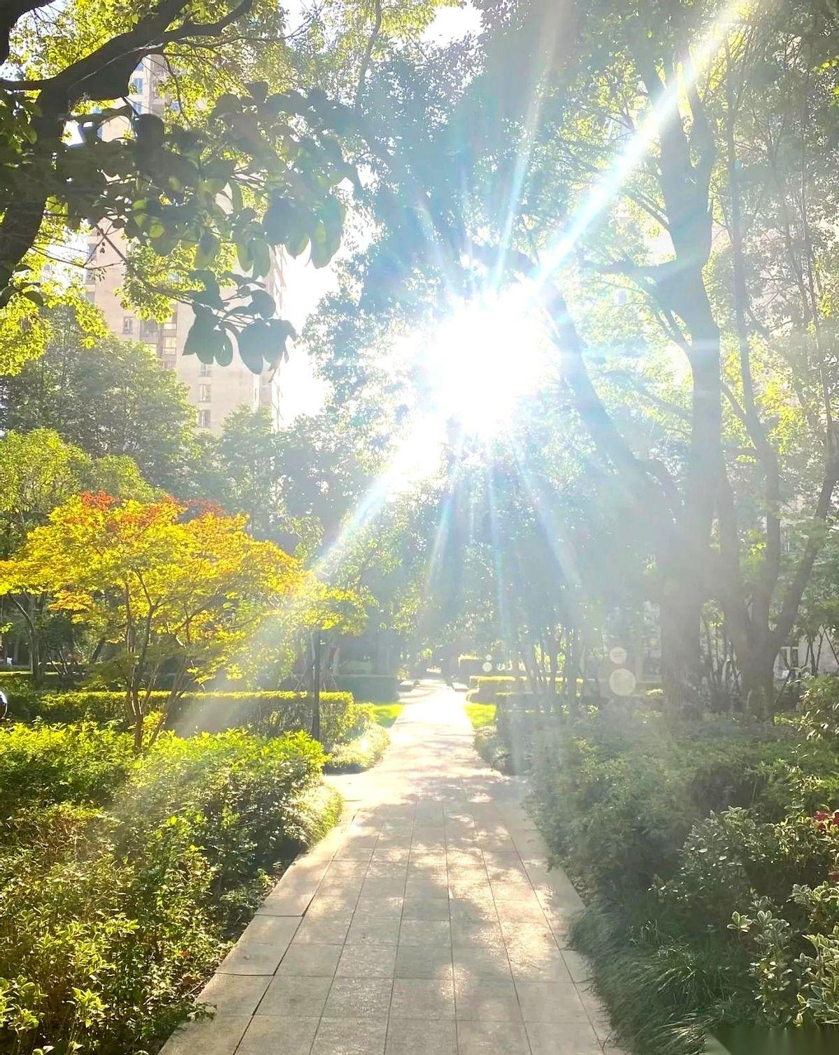 命差点没搭在两百米外的快递柜上。38度。太阳穴像被人拿锥子狂凿，眼前一阵阵发