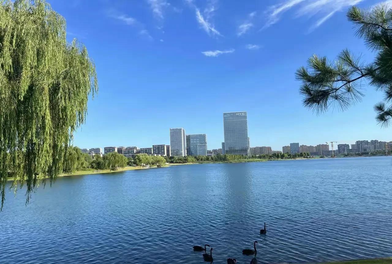 为什么非得把自己的孩子送到哥哥嫂子家去住上几天不可呢，你完全可以把侄子接到自己家