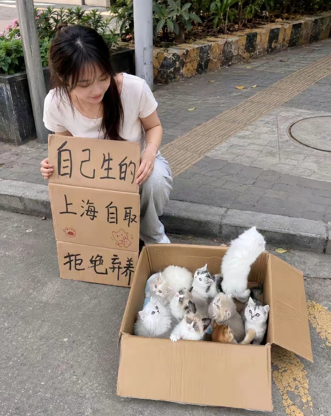 她是怎么生出来的？