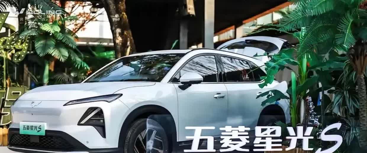 2025年买车新口诀，买车不纠结：1、要面子：买宝马2、随大流：买比亚迪