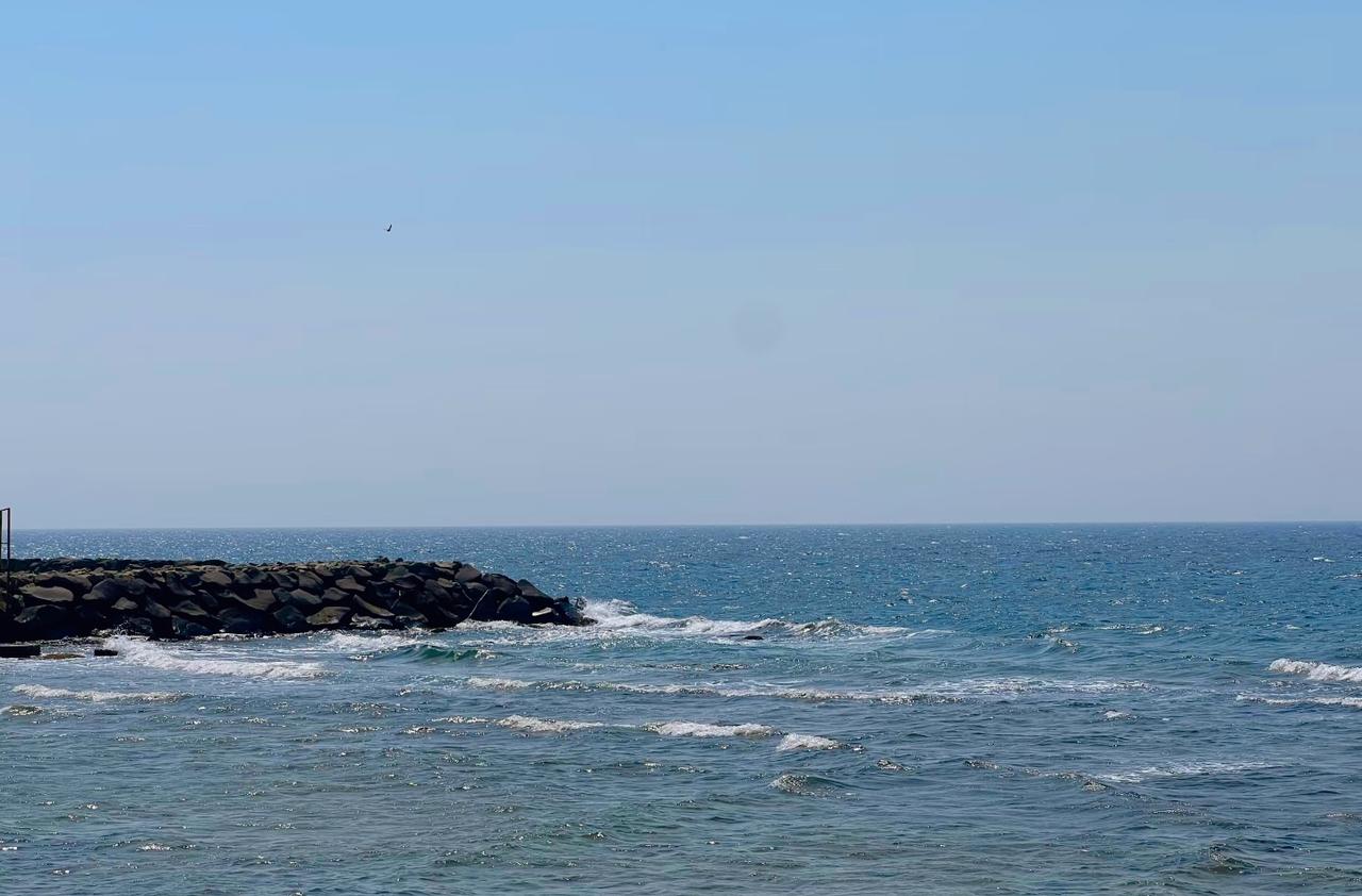 刘震云：）爱人在，心不慌；家人在，心自安。爱不是送一束玫瑰花那么简单，也不是发