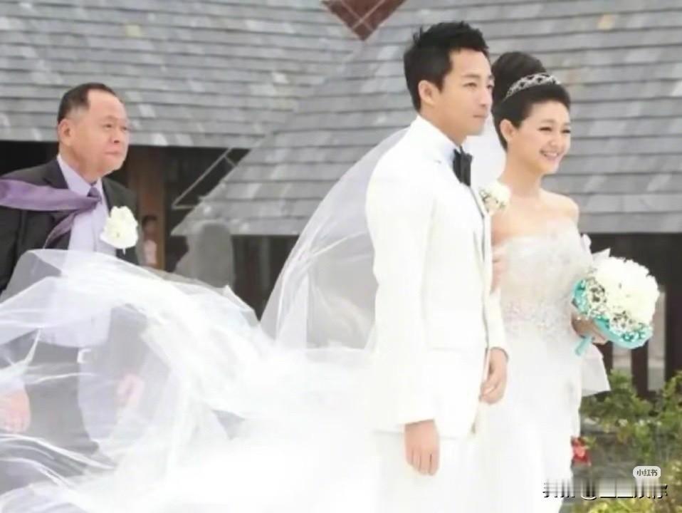 大S能嫁入汪家很大程度得益于张兰的包容。2011年结婚时，距离《流星花园》大火已