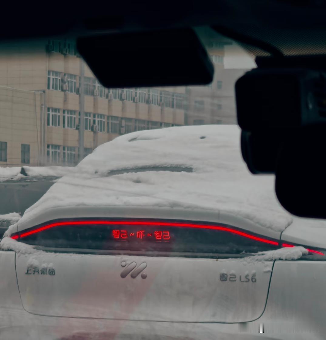 哈哈哈哈谁懂这个笑点！！智己车主都这么有活儿吗智己～吓～智己哈哈哈哈哈