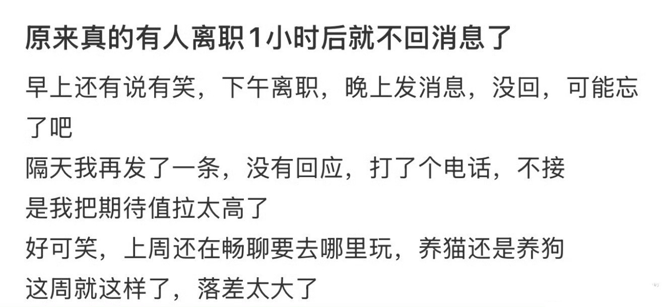 原来真的有人离职1小时后就不回消息了