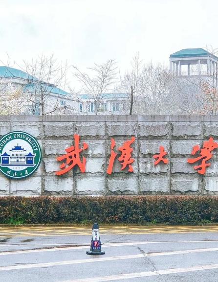 武大又慌了撤稿十几篇不是小数目，学校连夜开会也注意说明。问题的严重性