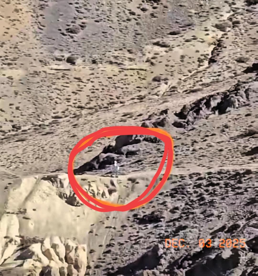 印度有点惊讶，印度第14军的心态要崩了，印度军队突然发现，我们已经把机器人部署在