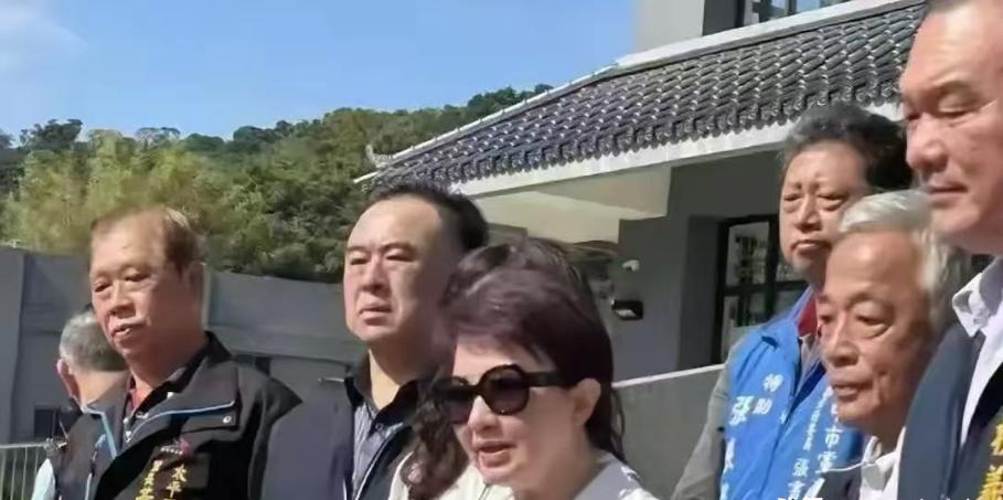 台岛天然气眼看要见底，卢秀燕又站出来喊话了。这次她直接喊话“中央”，说民生用