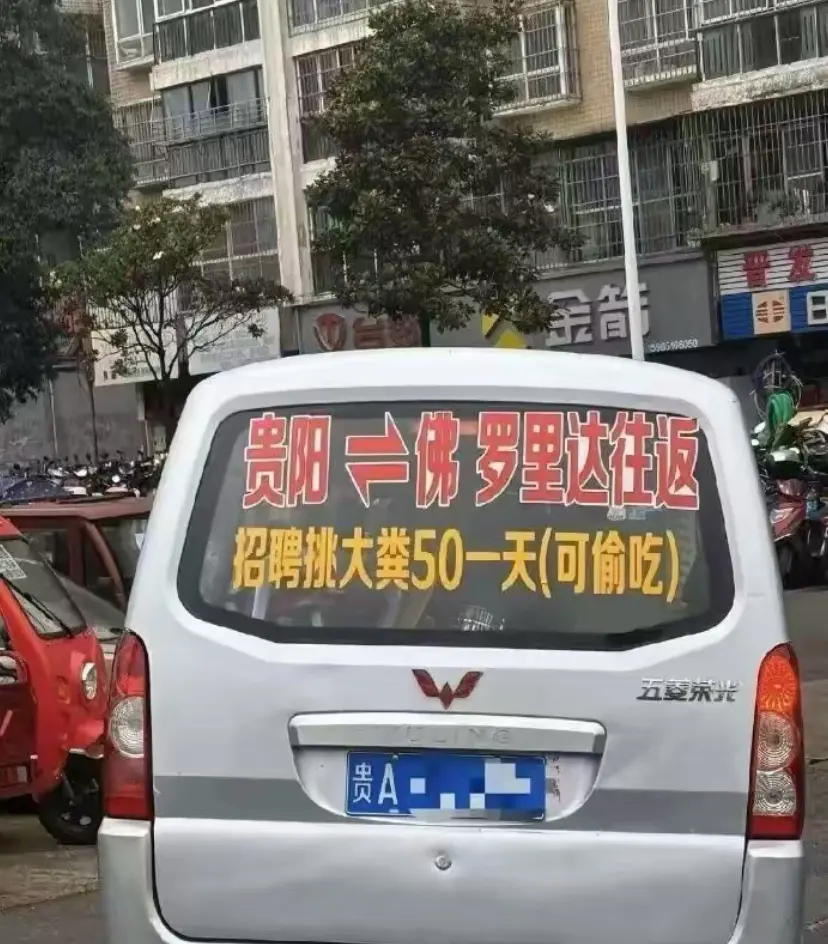 这么好的活，还是让老板自己干吧
