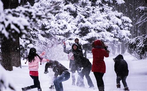 带孩子出去堆雪人、打雪仗, 地点不选好, 对宝宝存在安全隐患!