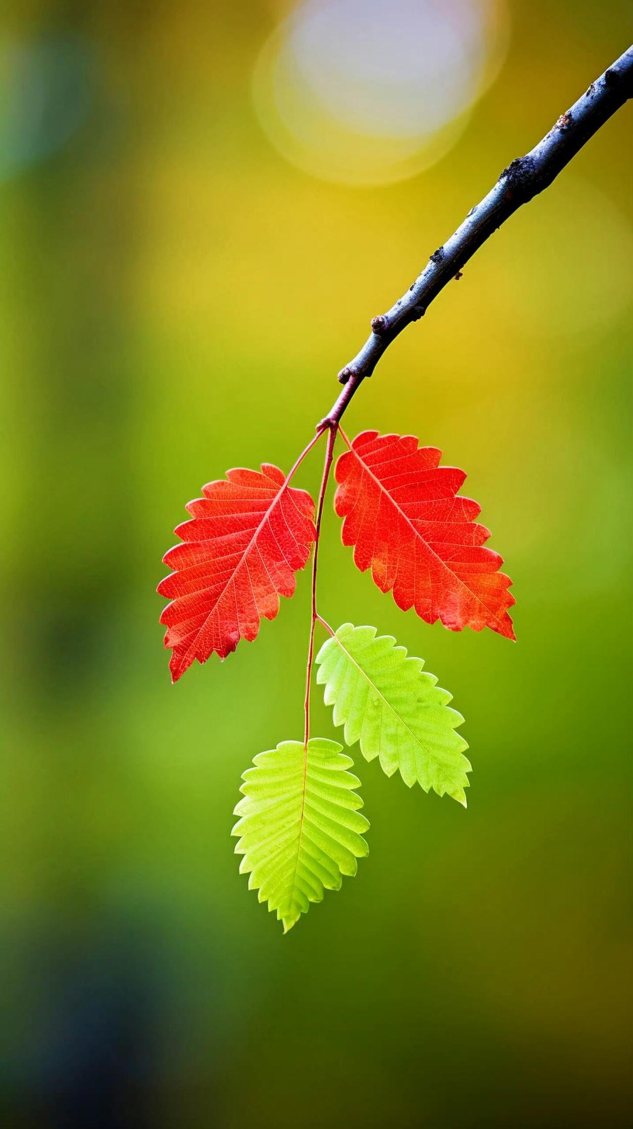 接待了一个高二的学生家长，给我提了很多的要求，就是希望找非常优秀的老师，其实我们