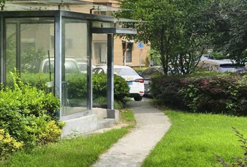 近日，上海，75岁阿姨在绿化率比较高的高档小区散步时，左脚突遭毒蛇咬伤！女儿目睹