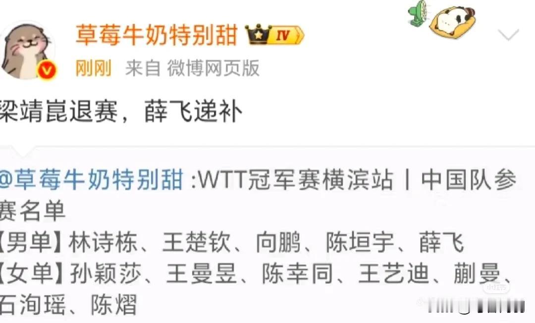 国乒男队出征横滨好可怜！看似5个人！实则就两个人[捂脸哭]有一个守半区，而有个命