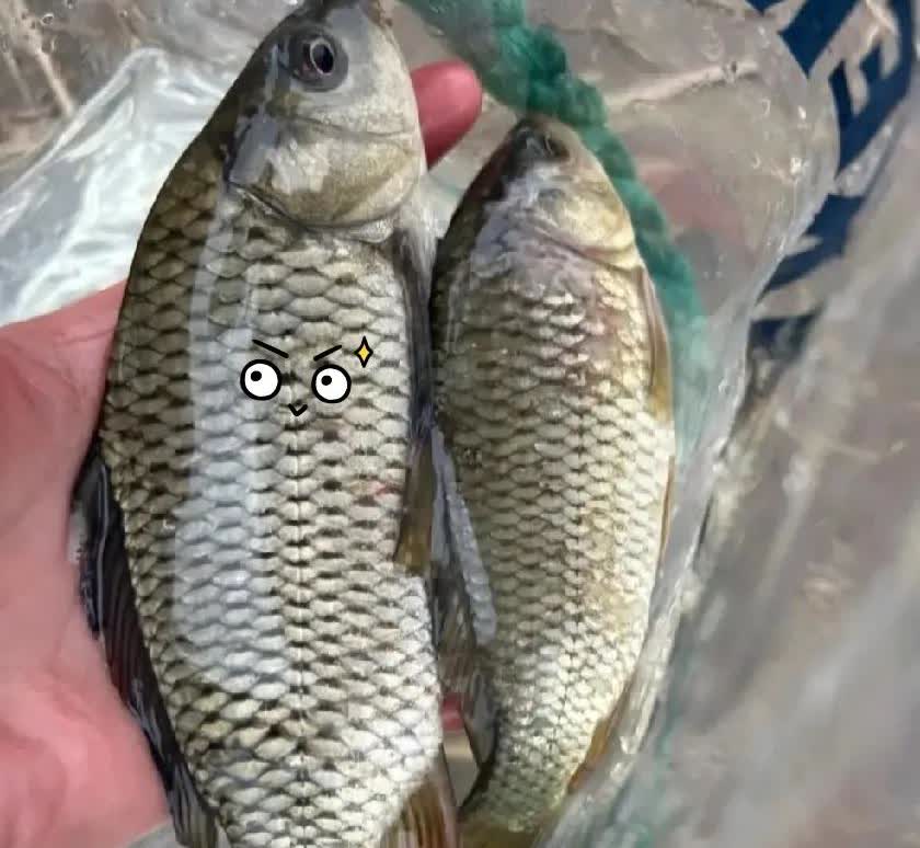 河边遇到一个钓鱼的人，看他收获颇丰，我便问他鱼卖不卖。他惊讶地看着我，说：“我又