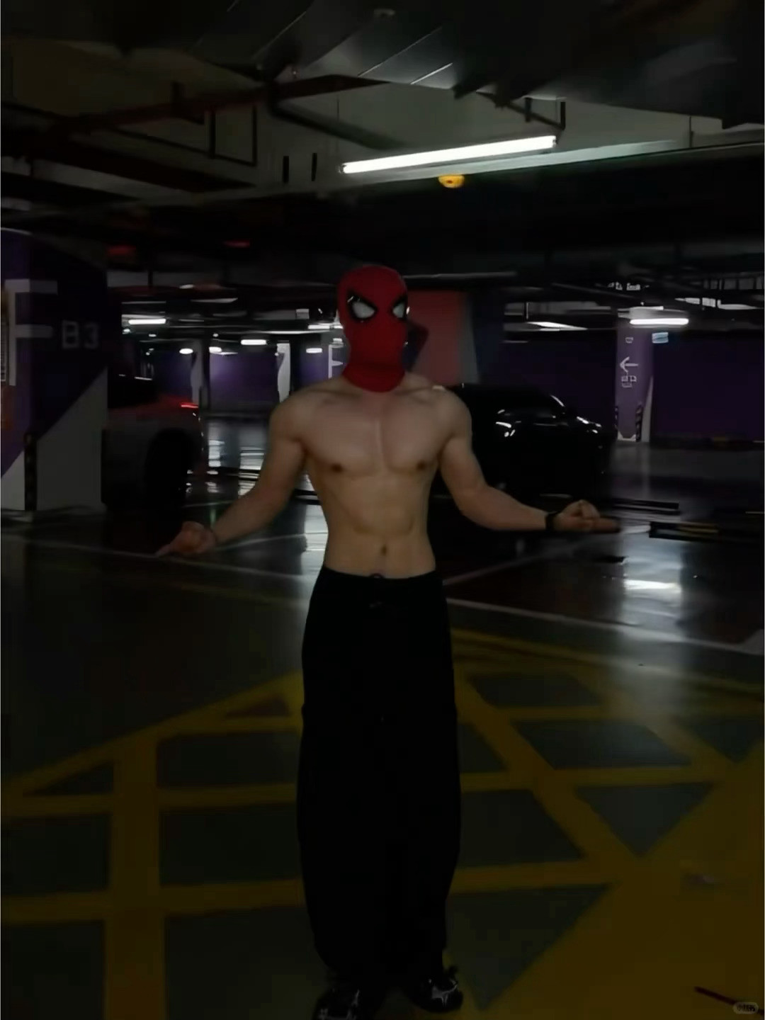 🕷️
