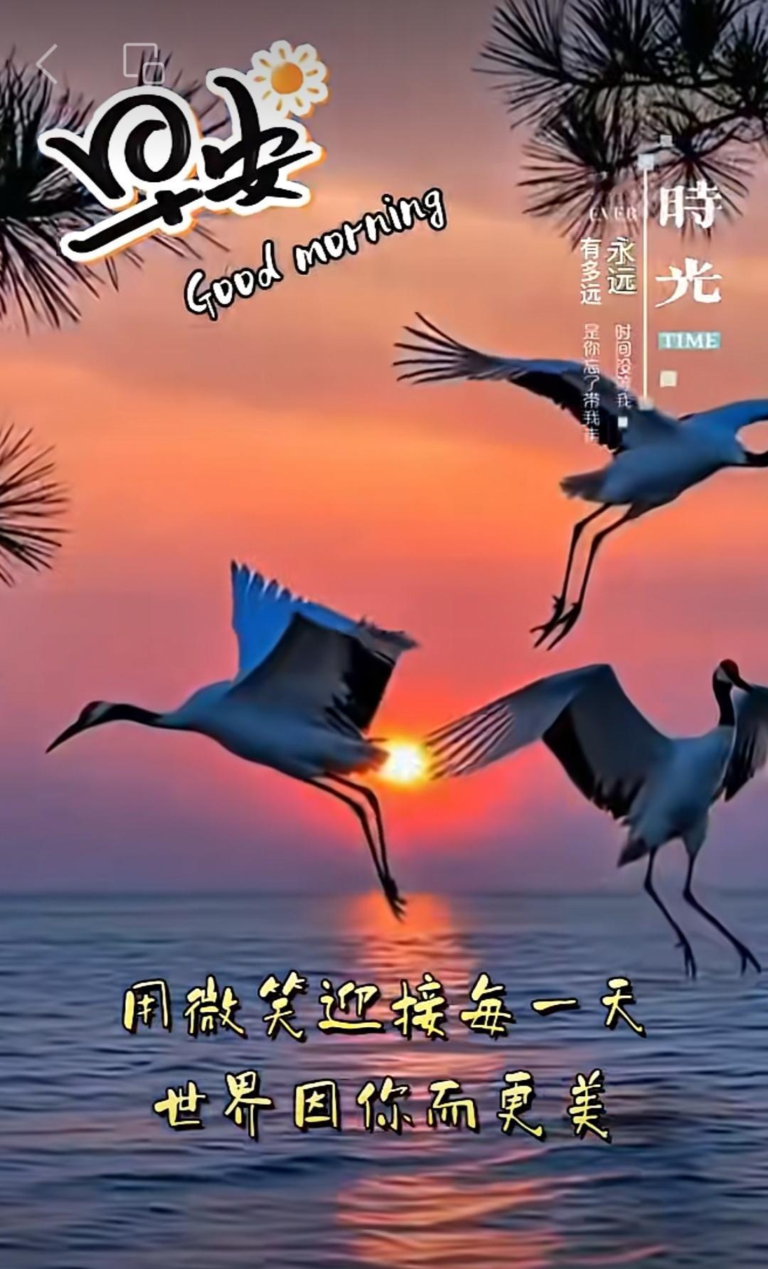 假日的晨光洒满你的窗台，也把平安、快乐和满满好运，都送到你身边，祝你一切都顺顺利