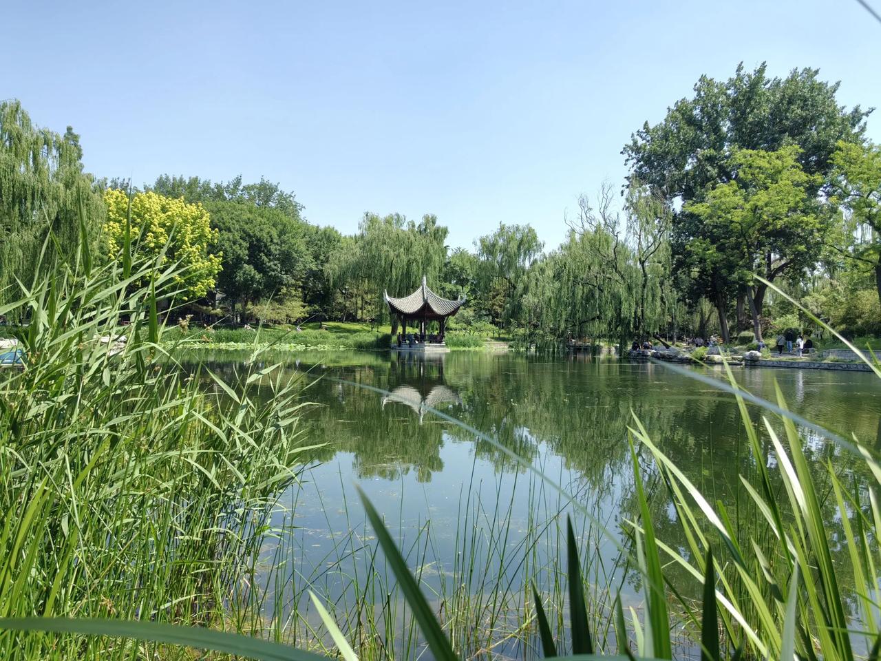 儿媳妇的一句话，让我无言以对。父亲节这天，我早早就心怀期待的等着儿子和儿媳妇