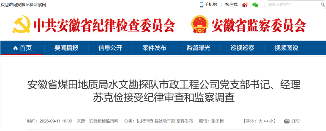 合肥市原副市长何逢阳被“双开”! 另有3人被通报