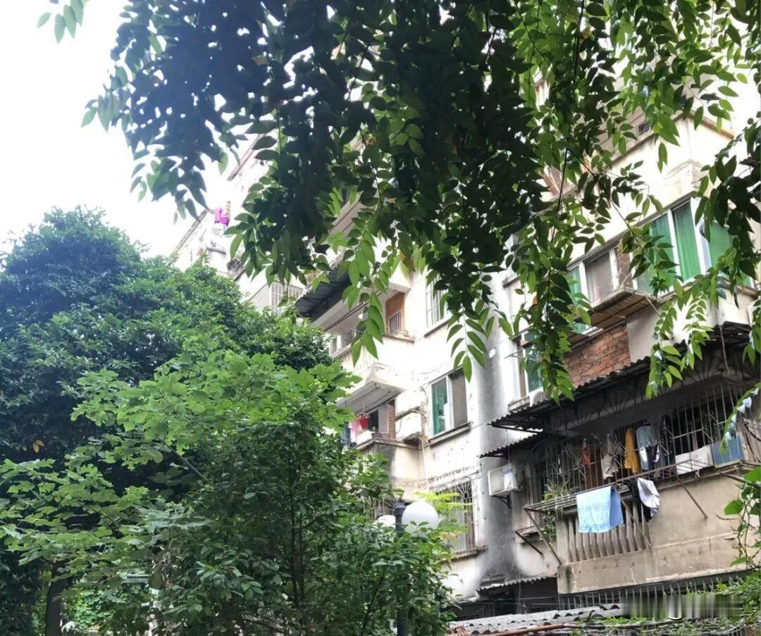 搬了6次家才懂：这5个楼层最抢手，住过都说好1️⃣第一次住1楼，梅雨季墙面发
